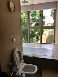 The Adara (D15), Apartment #567667851